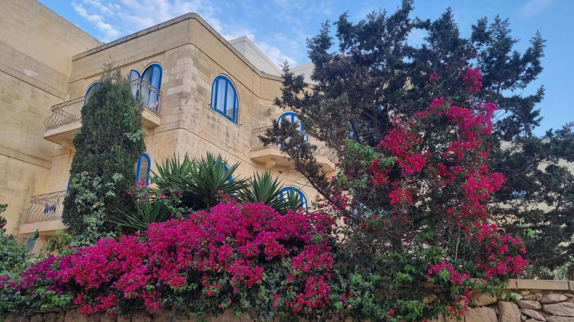 Villa Serenity B&B 萨奈特 外观 照片